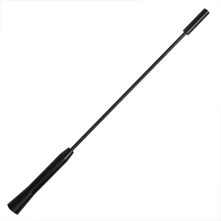 ProPlus Auto antenne incl. M5 &amp; M6 adapters