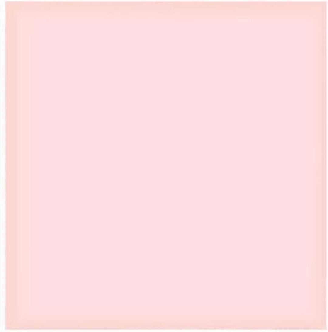 Diamond Painting set - Blaasbloemen