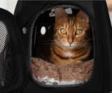 Transporter - honden- / kattentas - zwart grijs