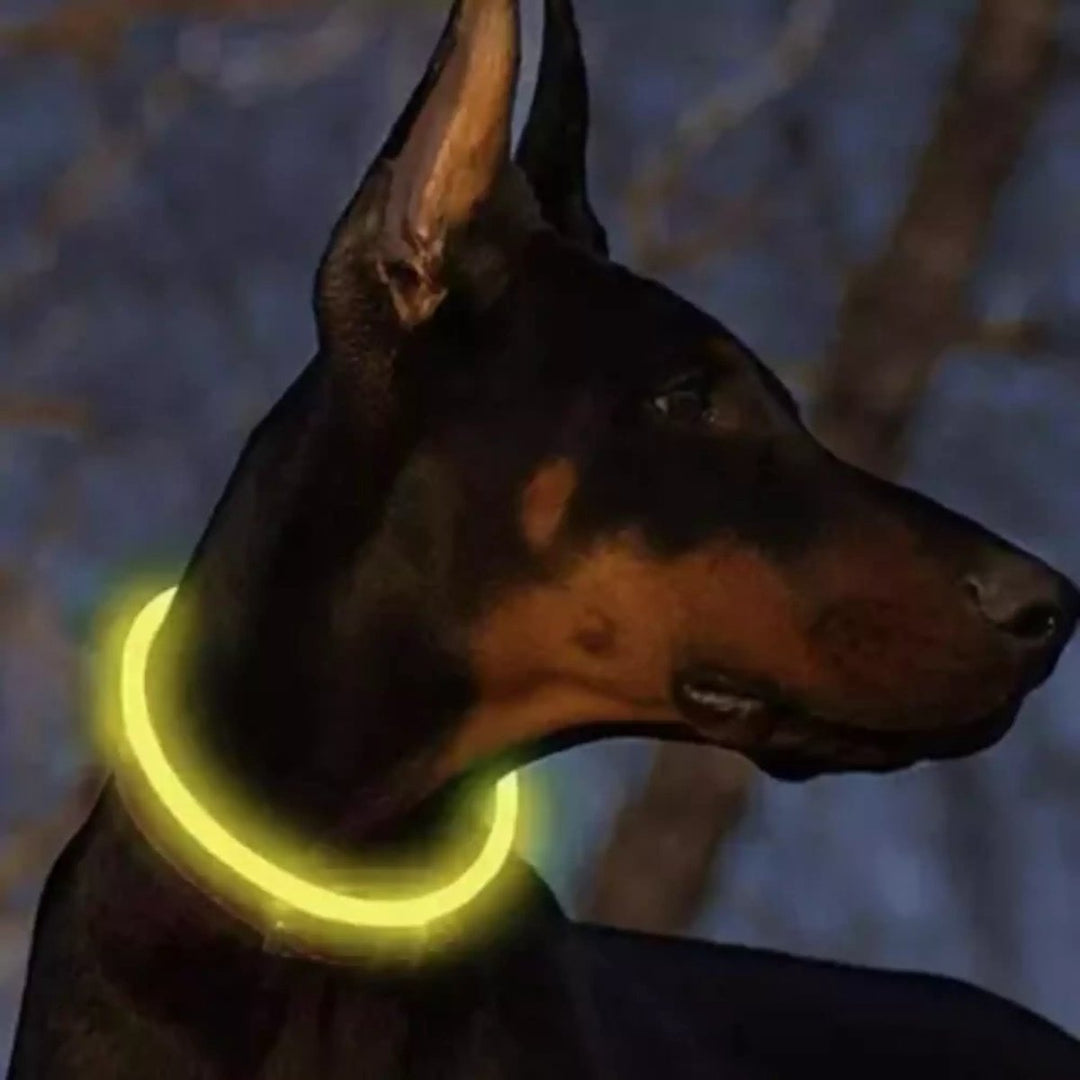 Purlov LED Lichtgevende Halsband - Veiligheid en Zichtbaarheid voor Uw Huisdier
