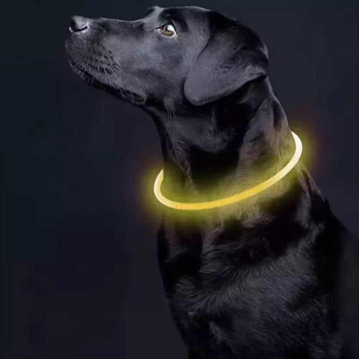 Purlov LED Lichtgevende Halsband - Veiligheid en Zichtbaarheid voor Uw Huisdier
