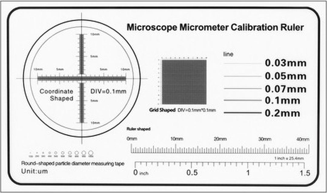 Digitale Microscoop met Camera – 1600x Zoom – Microscopie - Endoscoop - Foto &amp; Video - USB connectie