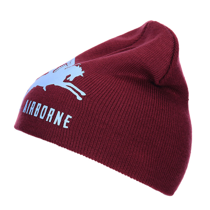 Fostex Beanie Airborne Pegasus - Bordo