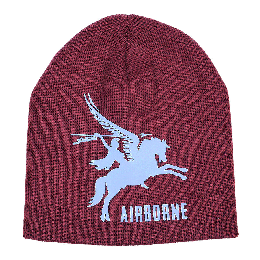 Fostex Beanie Airborne Pegasus - Bordo
