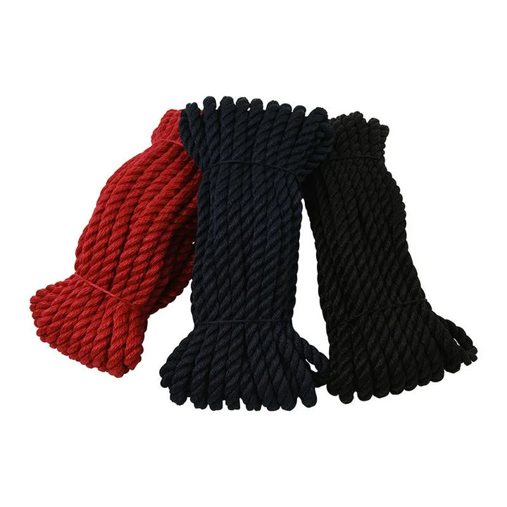ProPlus Birotex touw gedraaid, Polypropylene, 10mm, 10m, assorti, 1.580 daN