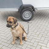 ProPlus Dog secure