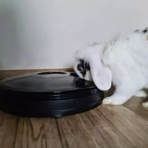 Automatische Voerbak Voor Katten &amp; Honden