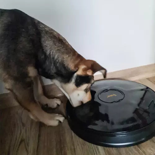 Automatische Voerbak Voor Katten &amp; Honden