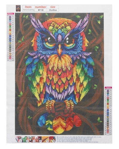 Diamond painting  30x40 cm kleurrijke uil - Hobby pakket
