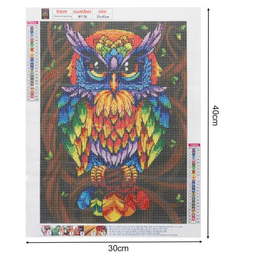 Diamond painting  30x40 cm kleurrijke uil - Hobby pakket