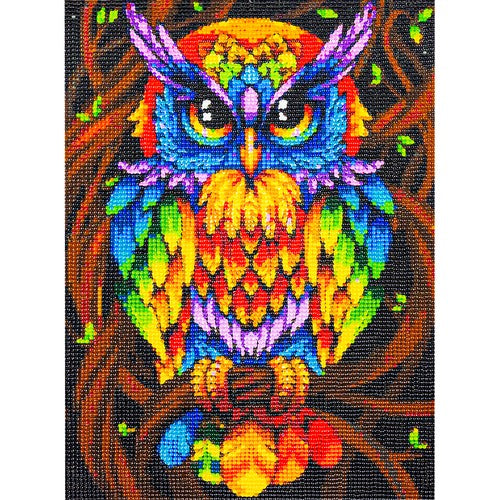 Diamond painting  30x40 cm kleurrijke uil - Hobby pakket