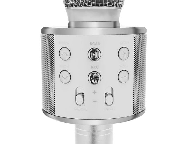 Karaoke Microfoon - Zilver