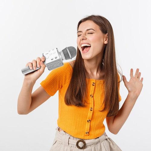 Karaoke Microfoon - Zilver