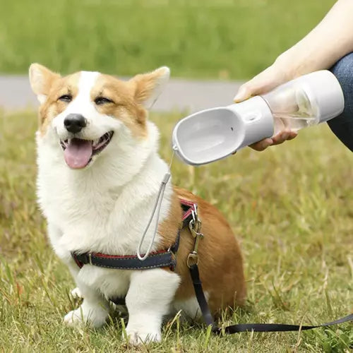 3 in 1 waterfles voor hond of kat - Snack opberger - Drinkbak