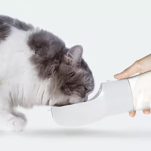 3 in 1 waterfles voor hond of kat - Snack opberger - Drinkbak