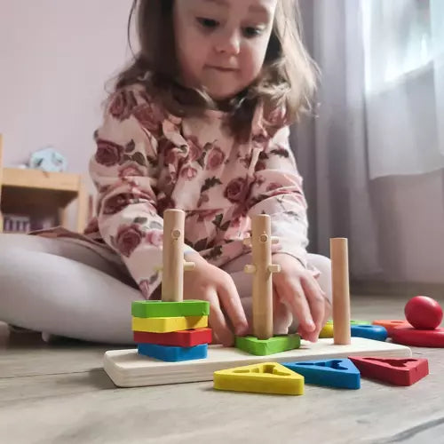 Houten Sorteer Puzzel