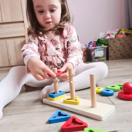 Houten Sorteer Puzzel