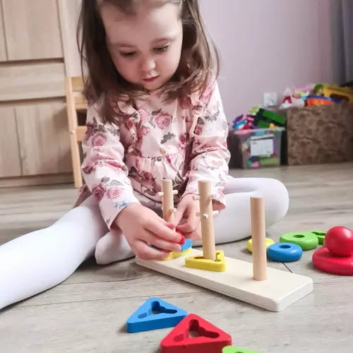 Houten Sorteer Puzzel