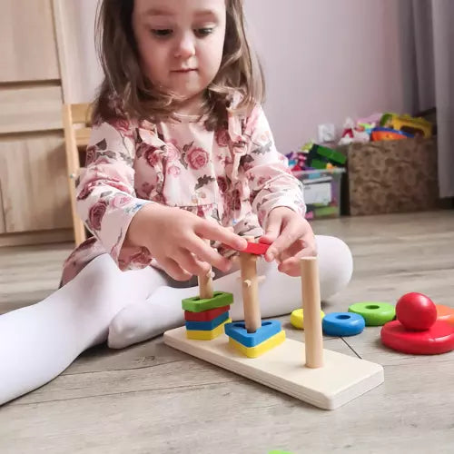 Houten Sorteer Puzzel