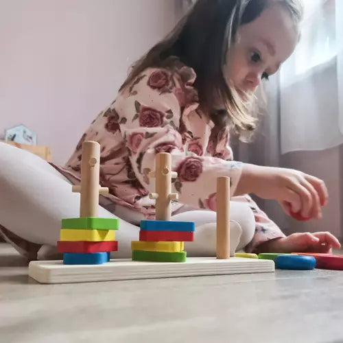 Houten Sorteer Puzzel